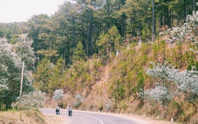 Let’s Travel Dalat A-Z – Part 2: Where to visit in Dalat