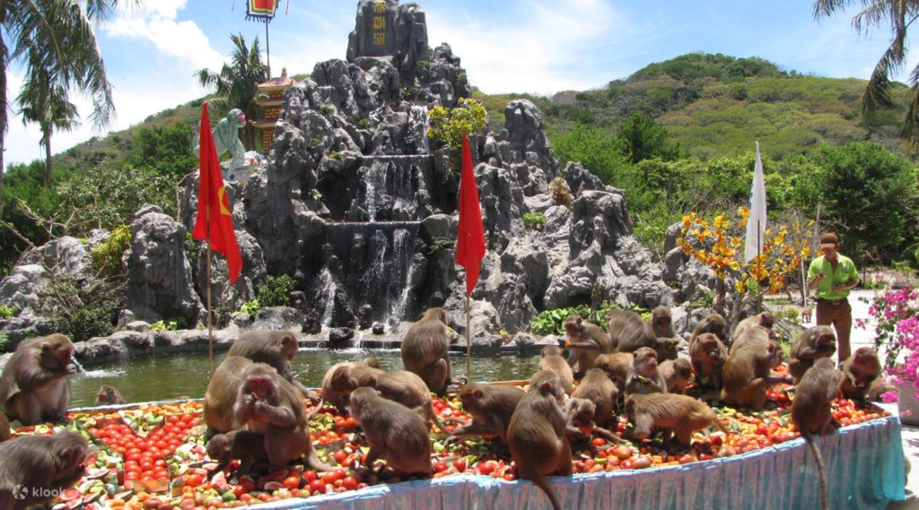 Monkey-festival-in-Nha-Trang