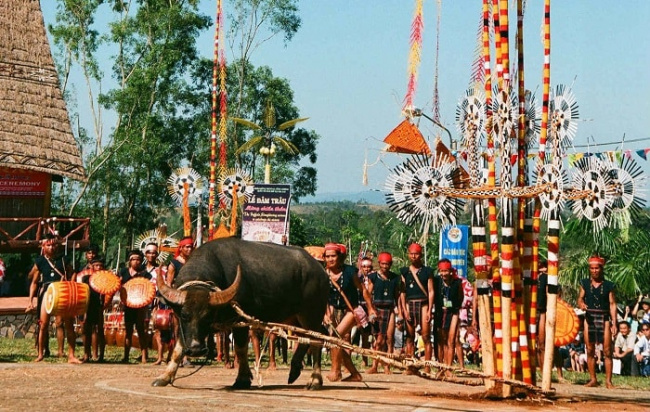 Let's explore the Buffalo kill traditional festival in Dalat of ethnic groups