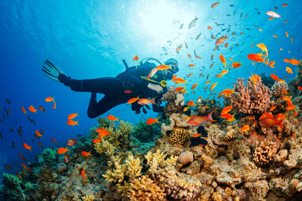 scuba-diving-to-see-beautiful-coral-at-phu-quoc-island