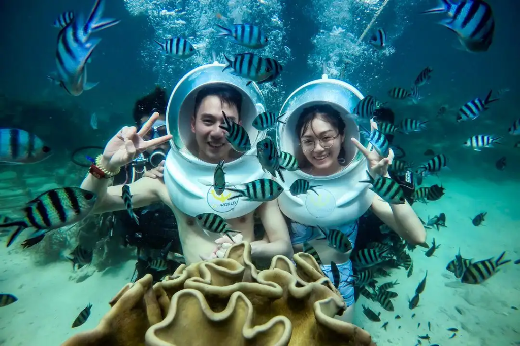 experience-at-namaste-coral-park-allows-you-to-see-the-colorful-marine-ecosystem