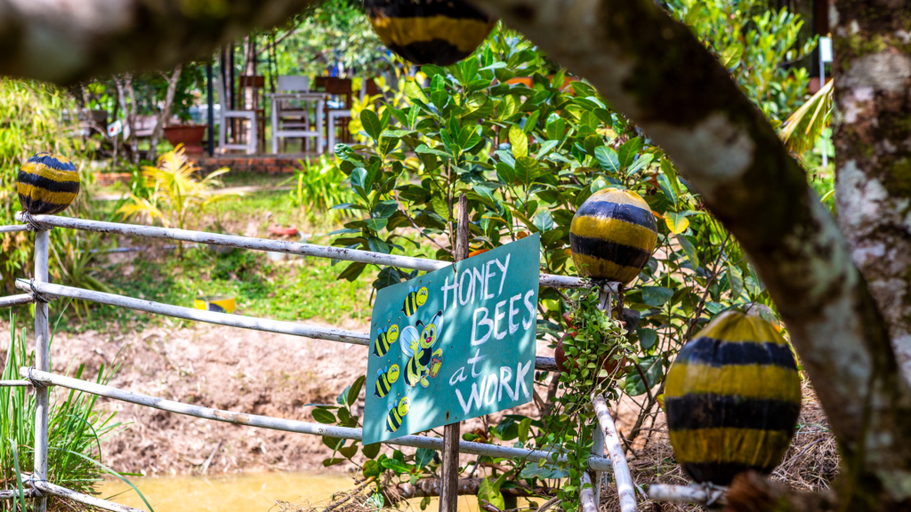 the-world-of-bees-at-the-bee-farm-at-phu-quoc