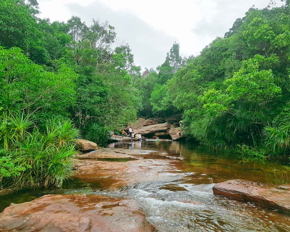 primeval-forests-with-pristine-scenery-at-phu-quoc