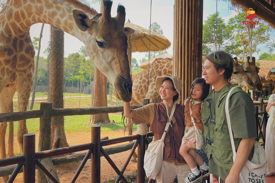 vinpearl-safari-the-first-wild-zoo-in-vietnam