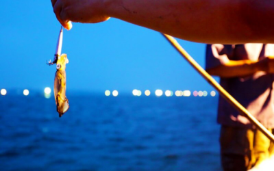Travel Phu Quoc A-Z: Experience Phu Quoc Night Squid Fishing