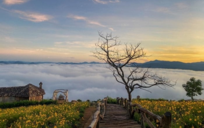 19 Famous Attractions in Dalat You Should Not Miss