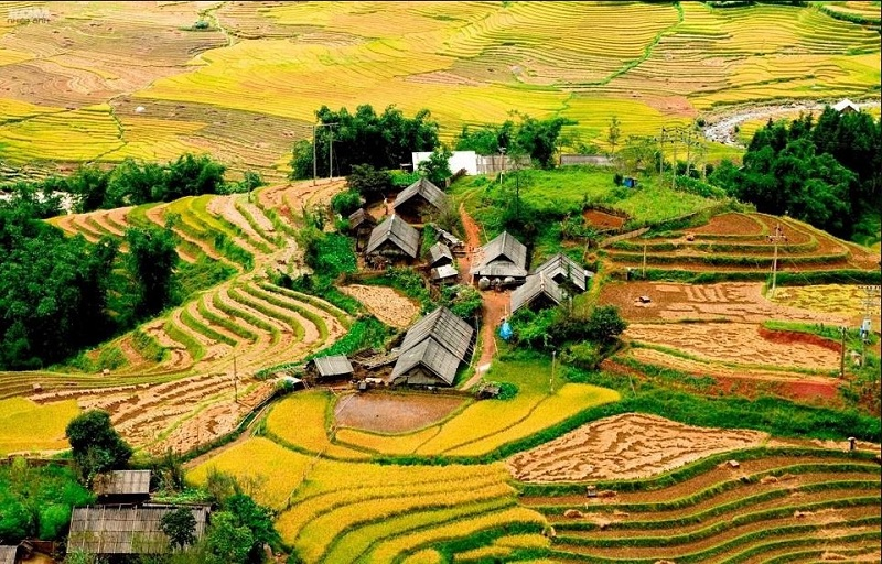 The pristine beauty of Sapa nature will be shown through Muong Hoa Valley