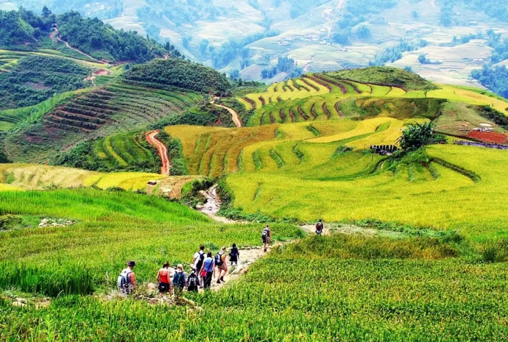 Sin Chai is one of the most ideal tourist attractions in Sapa