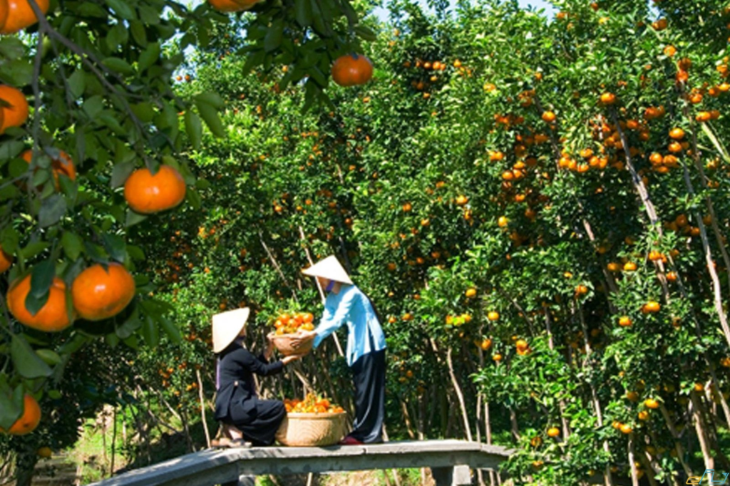 The Southwest region is famous for its luxuriant and fruitful fruit gardens